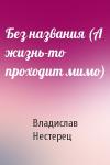 Владислав Нестерец - Без названия (А жизнь-то проходит мимо)