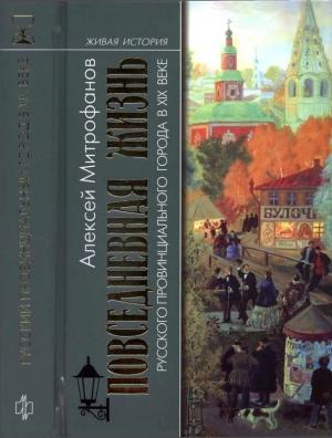 Обложка книги «Повседневная жизнь русского провинциального города в XIX веке. Пореформенный период» — Алексей Митрофанов
