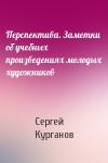 Сергей Курганов - Перспектива. Заметки об учебных произведениях молодых художников