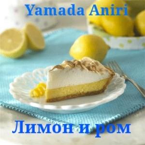 Обложка книги «Лимон и ром» — Aniri Yamada