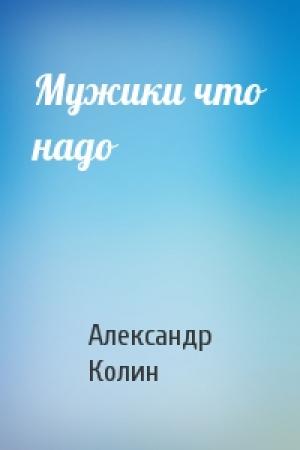 Обложка книги «Мужики что надо» — Александр Колин