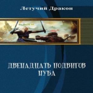Обложка книги «Двенадцать подвигов нуба (СИ)» — Дмитрий Летучий