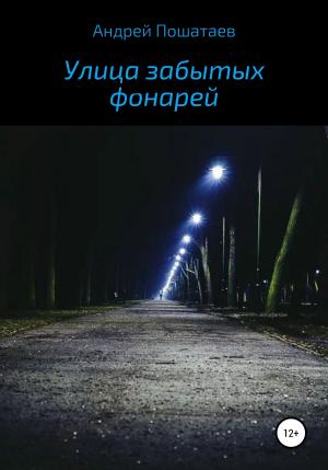 Обложка книги «Улица забытых фонарей» — Андрей Пошатаев