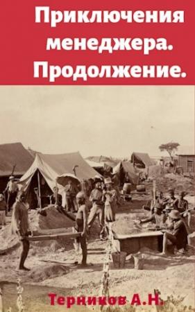 Обложка книги «Приключения менеджера. Продолжение» — Александр Терников