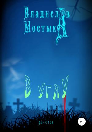 Обложка книги «В углу» — Владислав Мостыка
