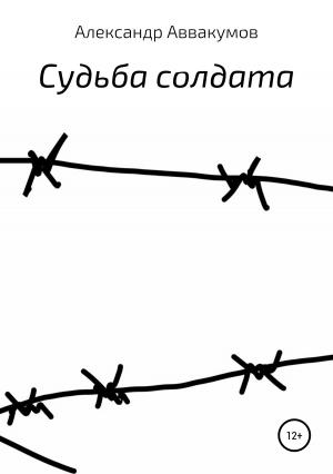 Обложка книги «Судьба солдата» — Александр Аввакумов