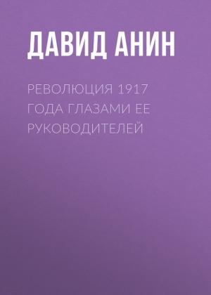 Обложка книги «Революция 1917 года глазами ее руководителей» — Давид Анин