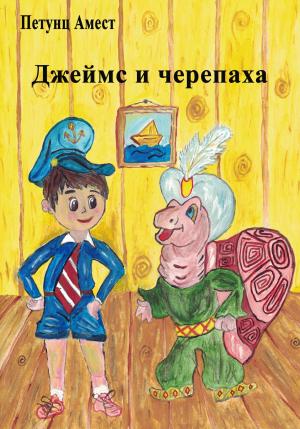 Обложка книги «Джеймс и черепаха» — Амест Петунц