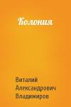 Виталий Владимиров - Колония