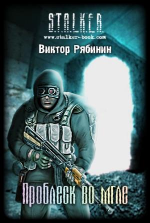 Обложка книги «Проблеск во мгле» — Виктор Рябинин