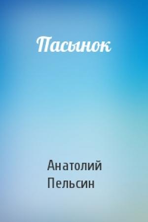 Обложка книги «Пасынок» — Анатолий Пельсин