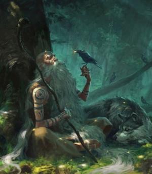 Обложка книги «Друид, Гарри и не канон.» — Убиватор Времени