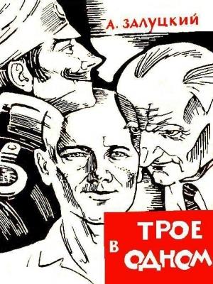 Обложка книги «Трое в одном» — Амит Залуцкий
