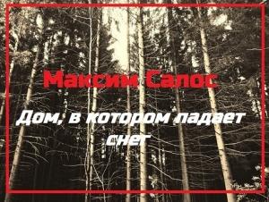 Обложка книги «Дом, в котором падает снег» — Максим Салос
