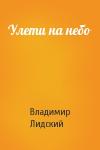 Владимир Лидский - Улети на небо