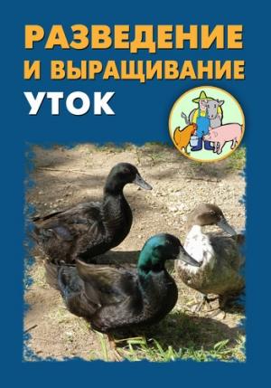 Обложка книги «Разведение и выращивание уток» — Илья Мельников, Александр Ханников