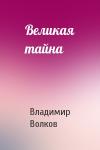 Владимир Волков - Великая тайна