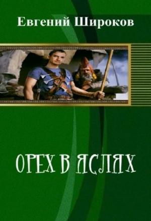 Обложка книги «Орех в Яслях» — Евгений Игоревич Широков