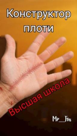 Обложка книги «Конструктор плоти 1. Высшая школа» — Mr_Fox