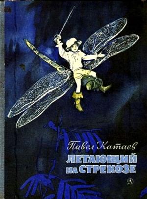 Обложка книги «Летающий на стрекозе» — Павел Катаев