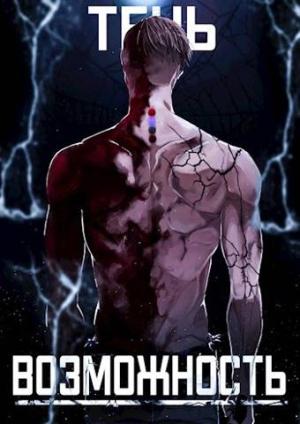 Обложка книги «Тень. Возможность»