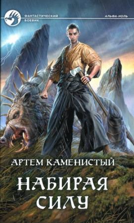 Обложка книги «Набирая силу» — Артем Каменистый