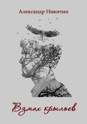 Обложка книги «Взмах крыльев» — Александр Никитин