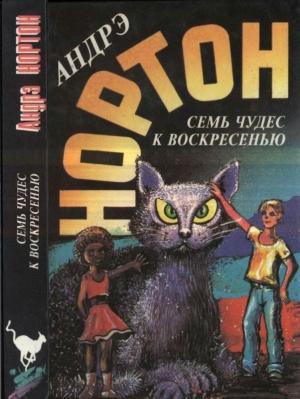 Обложка книги «Семь чудес к воскресенью: Мир звёздных ко’отов.  Семь чудес к воскресенью. Волшебный дом» — Андрэ Нортон, Дороти Мэдли, Филлис Миллер
