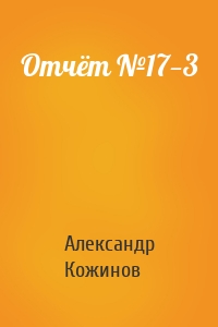 Отчёт №17—3