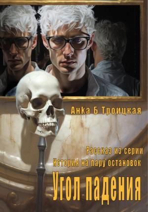 Обложка книги «Угол падения» — Анkа Троицкая