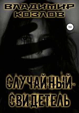 Обложка книги «Случайный свидетель» — Владимир Козлов