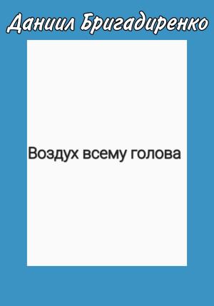 Обложка книги «Воздух всему голова» — Даниил Бригадиренко