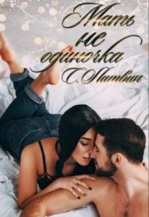 Обложка книги «Мать не одиночка» — Светла Литвин