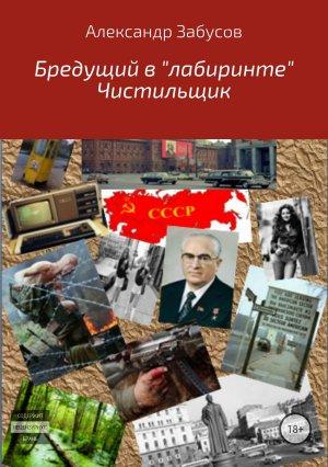 Обложка книги «Бредущий в «лабиринте». Книга 2. Чистильщик (СИ)» — Александр Забусов