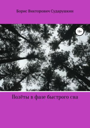Обложка книги «Полёты в фазе быстрого сна» — Борис Сударушкин