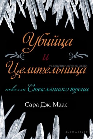 Обложка книги «Убийца и целительница» — Сара Маас