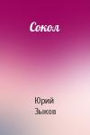 Юрий Зыков - Сокол