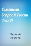 Василий Васильевич Розанов - Семейный вопрос в России. Том II