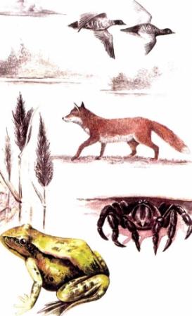 Обложка книги «Сорбулакские этюды» — Рудольф Александрович Кубыкин