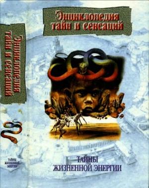 Обложка книги «Тайны жизненной энергии» — Василий Петров