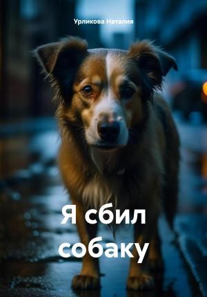 Обложка книги «Я сбил собаку» — Наталия Урликова