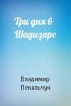 Владимир Пекальчук - Три дня в Шадизаре
