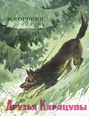 Обложка книги «Туман идет по следу» — Василий Сорокин