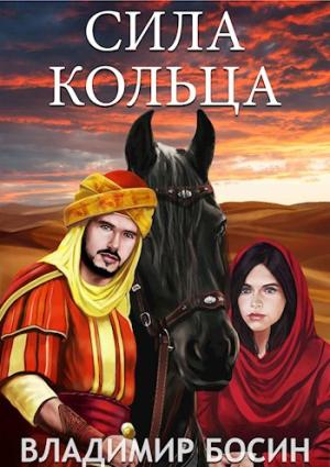 Обложка книги «Сила кольца» — Владимир Босин