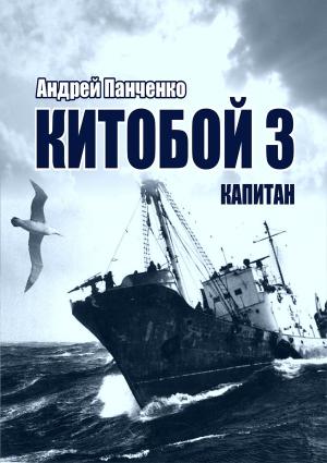 Обложка книги «Капитан» — Андрей Панченко