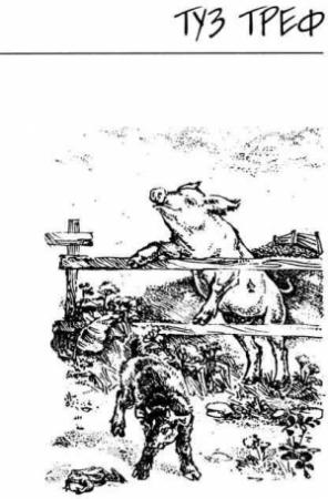 Обложка книги «Туз Треф» — Дик Кинг-Смит