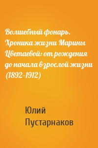 Волшебный фонарь. Хроника жизни Марины Цветаевой: от рождения до начала взрослой жизни (1892–1912)