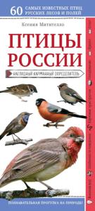 Ксения Митителло - Птицы России. Наглядный карманный определитель