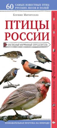 Обложка книги «Птицы России. Наглядный карманный определитель» — Ксения Митителло