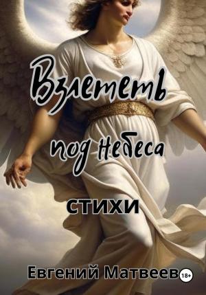Обложка книги «Взлететь под небеса» — Евгений Матвеев